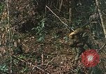 Image of US Marines Khe Sanh Vietnam, 1968, second 30 stock footage video 65675035390