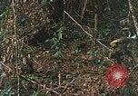 Image of US Marines Khe Sanh Vietnam, 1968, second 31 stock footage video 65675035390
