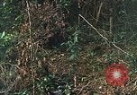 Image of US Marines Khe Sanh Vietnam, 1968, second 34 stock footage video 65675035390