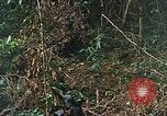 Image of US Marines Khe Sanh Vietnam, 1968, second 35 stock footage video 65675035390