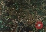 Image of US Marines Khe Sanh Vietnam, 1968, second 37 stock footage video 65675035390