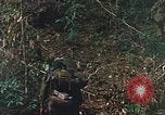 Image of US Marines Khe Sanh Vietnam, 1968, second 39 stock footage video 65675035390