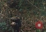 Image of US Marines Khe Sanh Vietnam, 1968, second 40 stock footage video 65675035390
