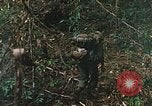 Image of US Marines Khe Sanh Vietnam, 1968, second 42 stock footage video 65675035390