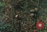 Image of US Marines Khe Sanh Vietnam, 1968, second 43 stock footage video 65675035390
