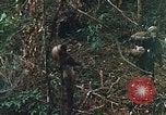 Image of US Marines Khe Sanh Vietnam, 1968, second 44 stock footage video 65675035390
