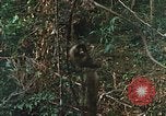 Image of US Marines Khe Sanh Vietnam, 1968, second 45 stock footage video 65675035390