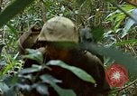 Image of US Marines Khe Sanh Vietnam, 1968, second 52 stock footage video 65675035390