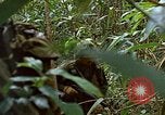 Image of US Marines Khe Sanh Vietnam, 1968, second 54 stock footage video 65675035390