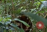 Image of US Marines Khe Sanh Vietnam, 1968, second 55 stock footage video 65675035390