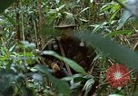 Image of US Marines Khe Sanh Vietnam, 1968, second 56 stock footage video 65675035390