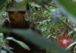 Image of US Marines Khe Sanh Vietnam, 1968, second 59 stock footage video 65675035390