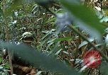 Image of US Marines Khe Sanh Vietnam, 1968, second 61 stock footage video 65675035390