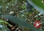 Image of US Marines Khe Sanh Vietnam, 1968, second 62 stock footage video 65675035390