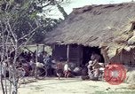 Immagine di Vietcong sospetti Binh Duong provincia Sud Vietnam, 1967, secondo 31 filmato di repertorio 65675035394