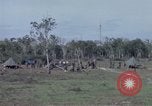 Immagine di Vietcong sospetti Binh Duong provincia Sud Vietnam, 1967, secondo 50 filmato di repertorio 65675035394