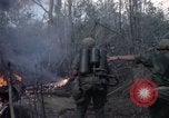 Standbild US Army Soldaten Binh Duong Provinz Süd Vietnam, 1967, aus Sekunde 24 historischem Filmmaterial Videoclip 65675035396