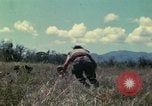Image of US Marines Da Nang Vietnam, 1968, second 3 stock footage video 65675035398