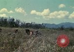 Image of US Marines Da Nang Vietnam, 1968, second 4 stock footage video 65675035398