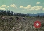 Image of US Marines Da Nang Vietnam, 1968, second 5 stock footage video 65675035398