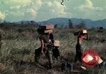 Image of US Marines Da Nang Vietnam, 1968, second 17 stock footage video 65675035399
