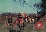 Image of US Marines Da Nang Vietnam, 1968, second 29 stock footage video 65675035399