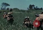 Image of US Marines Da Nang Vietnam, 1968, second 47 stock footage video 65675035400