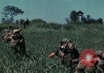 Image of US Marines Da Nang Vietnam, 1968, second 48 stock footage video 65675035400