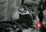 Image of Richard F Walsh Louisville Kentucky USA, 1964, second 52 stock footage video 65675035422