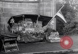 Image drapeaux Pays-Bas, 1963, de la seconde 1 séquences d'archives historiques vidéo 65675035428