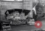 Image drapeaux Pays-Bas, 1963, de la seconde 5 séquences d'archives historiques vidéo 65675035428