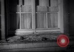 Image of Anticommunist demonstrations Amsterdam Netherlands, 1956, second 24 stock footage video 65675035430