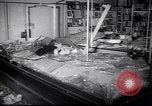 Image of Anticommunist demonstrations Amsterdam Netherlands, 1956, second 41 stock footage video 65675035430