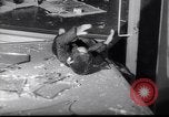 Image of Anticommunist demonstrations Amsterdam Netherlands, 1956, second 47 stock footage video 65675035430