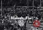 Image Nashua horse Hialeah Florida USA, 1956, de la seconde 5 séquences d'archives historiques vidéo 65675035438