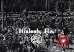 Image Nashua horse Hialeah Florida USA, 1956, de la seconde 6 séquences d'archives historiques vidéo 65675035438