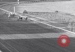 Image Nashua horse Hialeah Florida USA, 1956, de la seconde 19 séquences d'archives historiques vidéo 65675035438