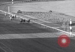 Image Nashua horse Hialeah Florida USA, 1956, de la seconde 20 séquences d'archives historiques vidéo 65675035438