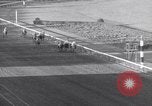Image Nashua horse Hialeah Florida USA, 1956, de la seconde 21 séquences d'archives historiques vidéo 65675035438