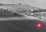 Image Nashua horse Hialeah Florida USA, 1956, de la seconde 22 séquences d'archives historiques vidéo 65675035438