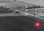 Image Nashua horse Hialeah Florida USA, 1956, de la seconde 23 séquences d'archives historiques vidéo 65675035438