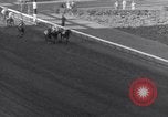 Image Nashua horse Hialeah Florida USA, 1956, de la seconde 25 séquences d'archives historiques vidéo 65675035438