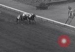 Image Nashua horse Hialeah Florida USA, 1956, de la seconde 29 séquences d'archives historiques vidéo 65675035438