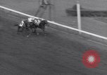 Image Nashua horse Hialeah Florida USA, 1956, de la seconde 30 séquences d'archives historiques vidéo 65675035438