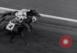 Image Nashua horse Hialeah Florida USA, 1956, de la seconde 35 séquences d'archives historiques vidéo 65675035438