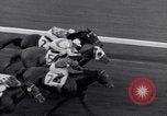 Image Nashua horse Hialeah Florida USA, 1956, de la seconde 36 séquences d'archives historiques vidéo 65675035438