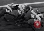 Image Nashua horse Hialeah Florida USA, 1956, de la seconde 38 séquences d'archives historiques vidéo 65675035438