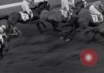 Image Nashua horse Hialeah Florida USA, 1956, de la seconde 39 séquences d'archives historiques vidéo 65675035438