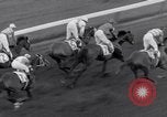 Image Nashua horse Hialeah Florida USA, 1956, de la seconde 40 séquences d'archives historiques vidéo 65675035438