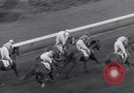 Image Nashua horse Hialeah Florida USA, 1956, de la seconde 41 séquences d'archives historiques vidéo 65675035438